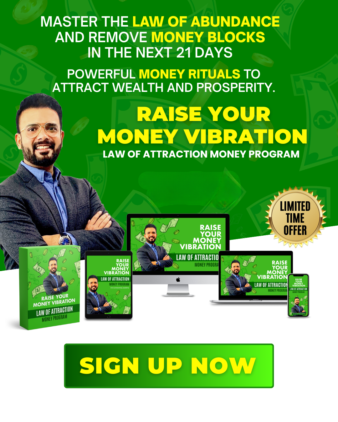 Raise Your Money Vibration Program